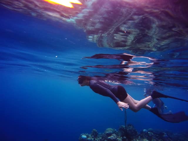 A freediver descending headfirst into deepening blue.